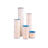 Factory direct sale swimming pool filter element filter